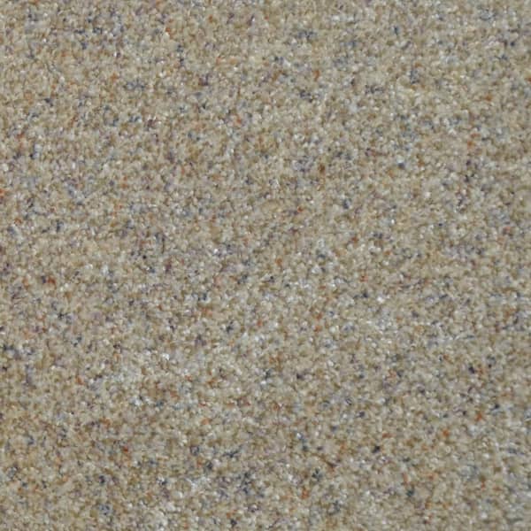Home Decorators Collection Port Abigail I  - Shoals - Beige 45 oz. SD Polyester Texture Installed Carpet