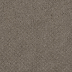 Camelia Lane - Canyon - Beige 28 oz. SD Polyester Loop Installed Carpet