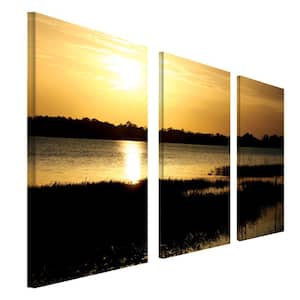 3 Panel Patty Tuggle 'End of The Day' Framed Nature Wall Art 32 in. x 48 in.