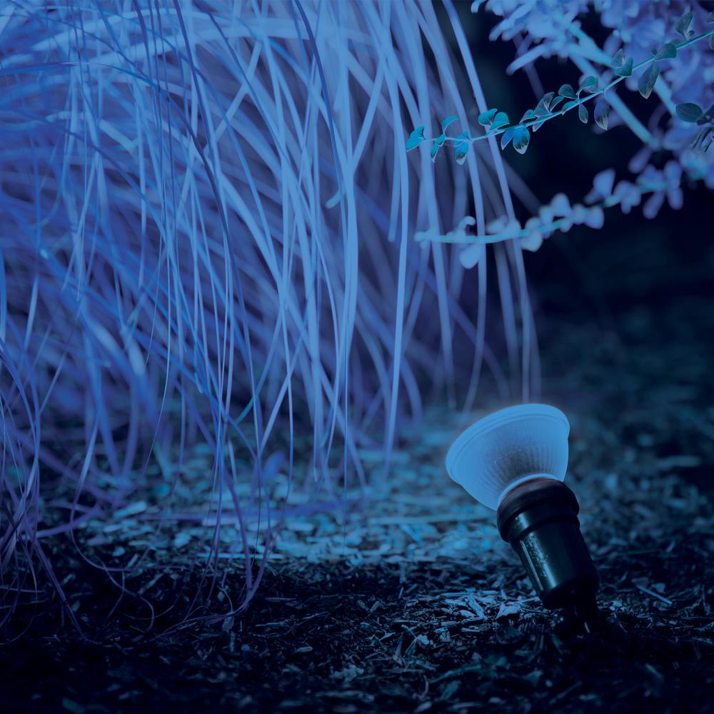 Lampe PAR 38 - 80W - 240V - E27 - Flood 30° - Bleue - Linear Technologie