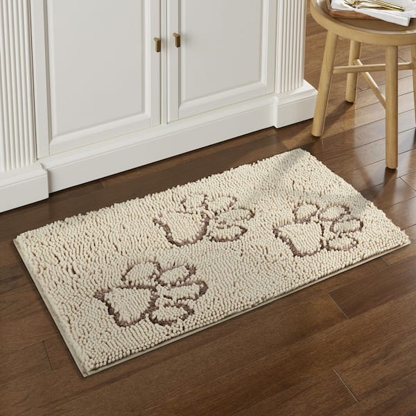 Cute dog chihuahua sunny ? animals area rug carpet in 2023