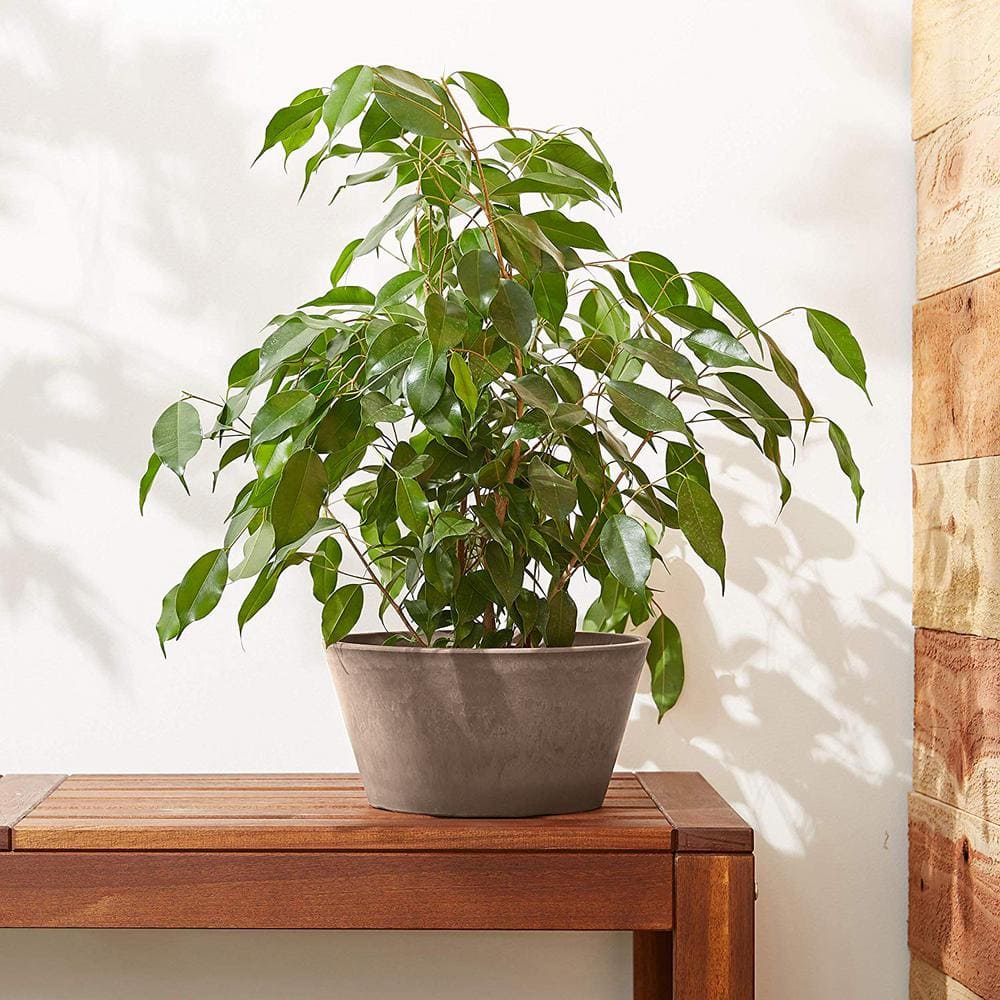 Taupe 10-Inch Recycled Plastic Bulb Pan Planter