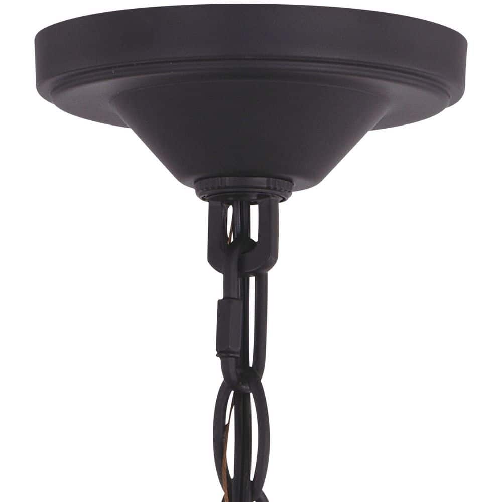 Matte Black Farmhouse Glass Outdoor Pendant Light