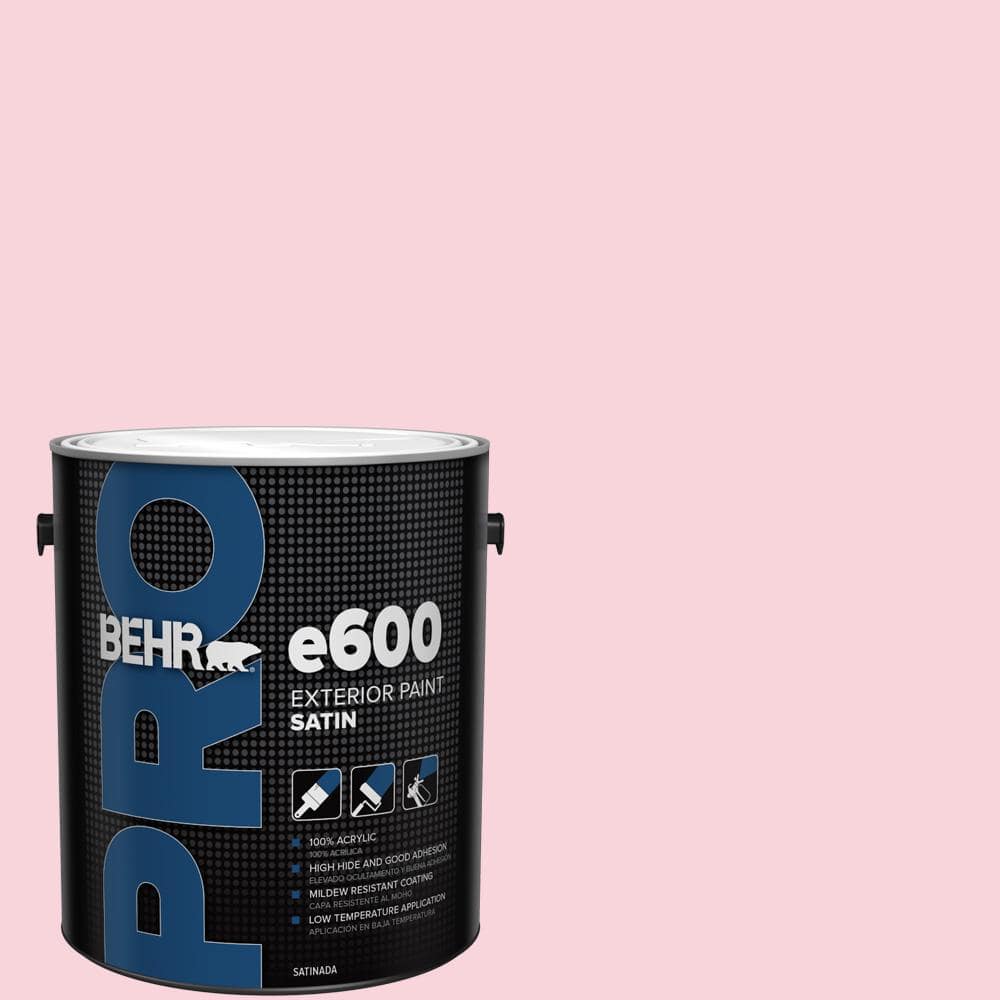 1 gal. #110C-1 Petal Bloom Satin Exterior Paint price history on PriceWatchPro
