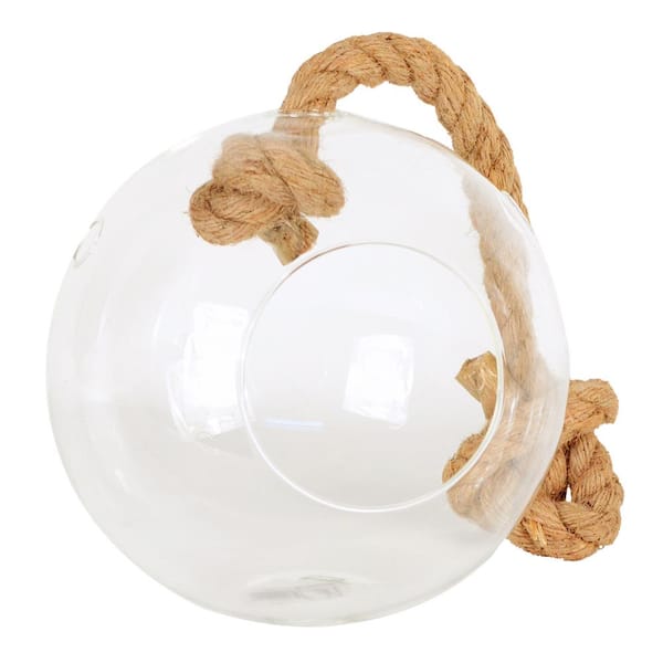 Arcadia Garden Products Sphere 6 in. x 6 in. Glass Hanging Terrarium