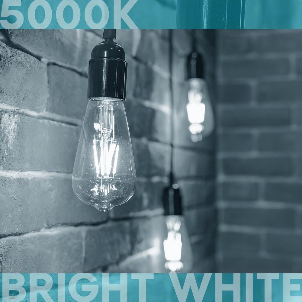 Vintage Clear Glass Dimmable LED Edison Bulbs Set