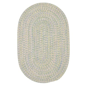 Dessi Pastel Multi 2 ft. x 6 ft. Oval Braided Indoor/Outdoor Patio Runner Rug