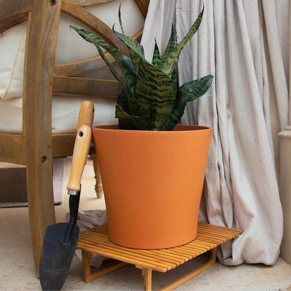 Vigoro 10 in. Medium Terra Cotta Clay Flair Pot Cabo 100523388 - The Home  Depot