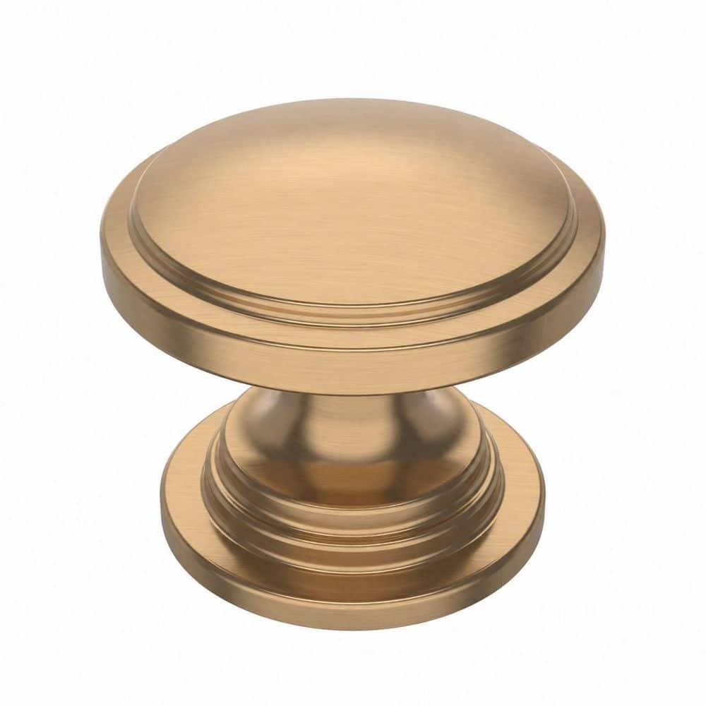 10-Pack 1-1/4 in. Fingerprint-Free Solid Zinc Alloy Modern Champagne Bronze Round Cabinet Drawer Knobs Single Hole price history on PriceWatchPro
