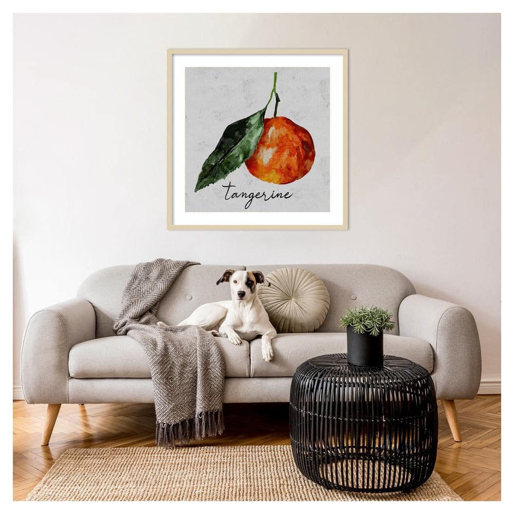 Summertime Citrus III Framed Tangerine Graphic Art Print