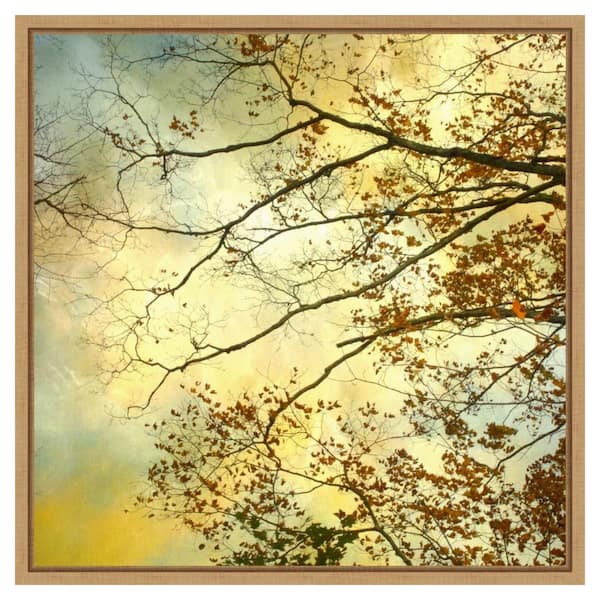Amanti Art Storm Clouds II by Judy Stalus 22 in. W x 22 in. H. Canvas Wall Art Print Framed in Brown