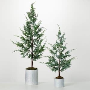 38 " & 54" Artificial Potted Cypress Christmas Tree Set of 2