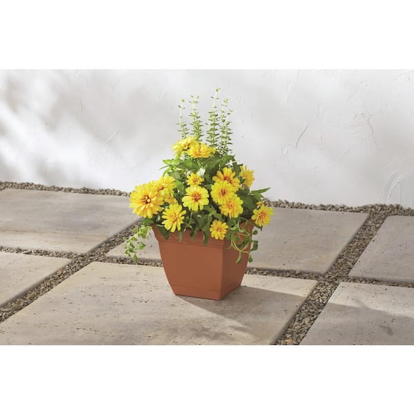 6 in. Mirabelle Small Clay Plastic Square Planter (6 in. D x 5.5 in. H) with Drainage Hole and Attached Saucer