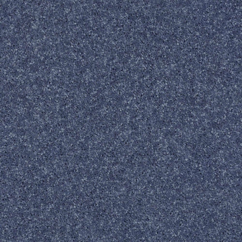 8 in. x 8 in. Texture Carpet Sample - Cottage Comforts - Color New Galaxy price history on PriceWatchPro