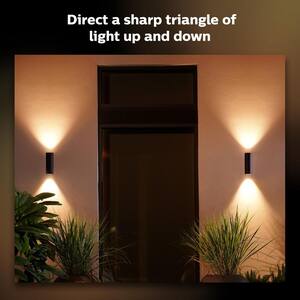 Appear 2-Light Black Integrated LED Outdoor White and Color Ambiance Smart Fixture Wall Sconce