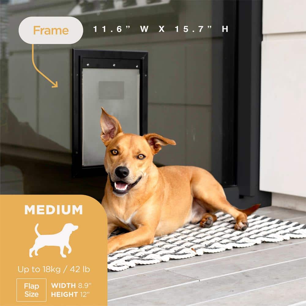 Medium Black Aluminum Pet Door with Locking Panel