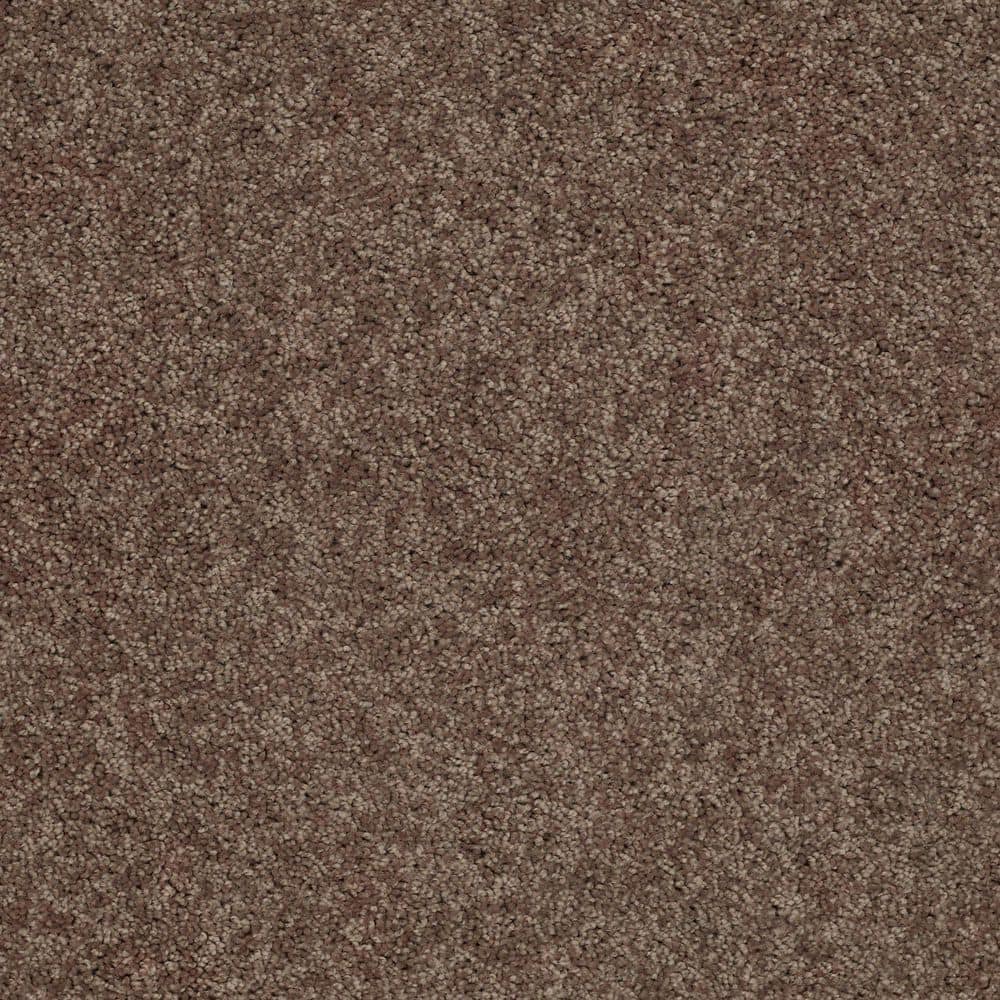 8 in. x 8 in. Texture Carpet Sample - Cottage Comforts - Color Boardwalk price history on PriceWatchPro