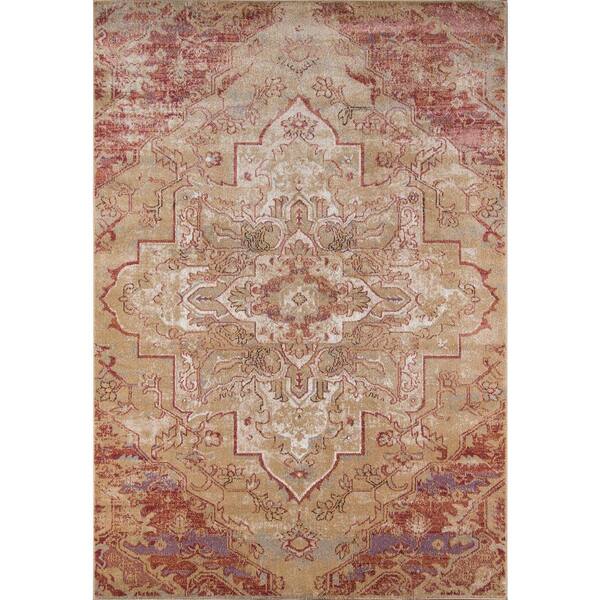 Momeni Amelia Rose 4 ft. x 6 ft. Indoor Area Rug