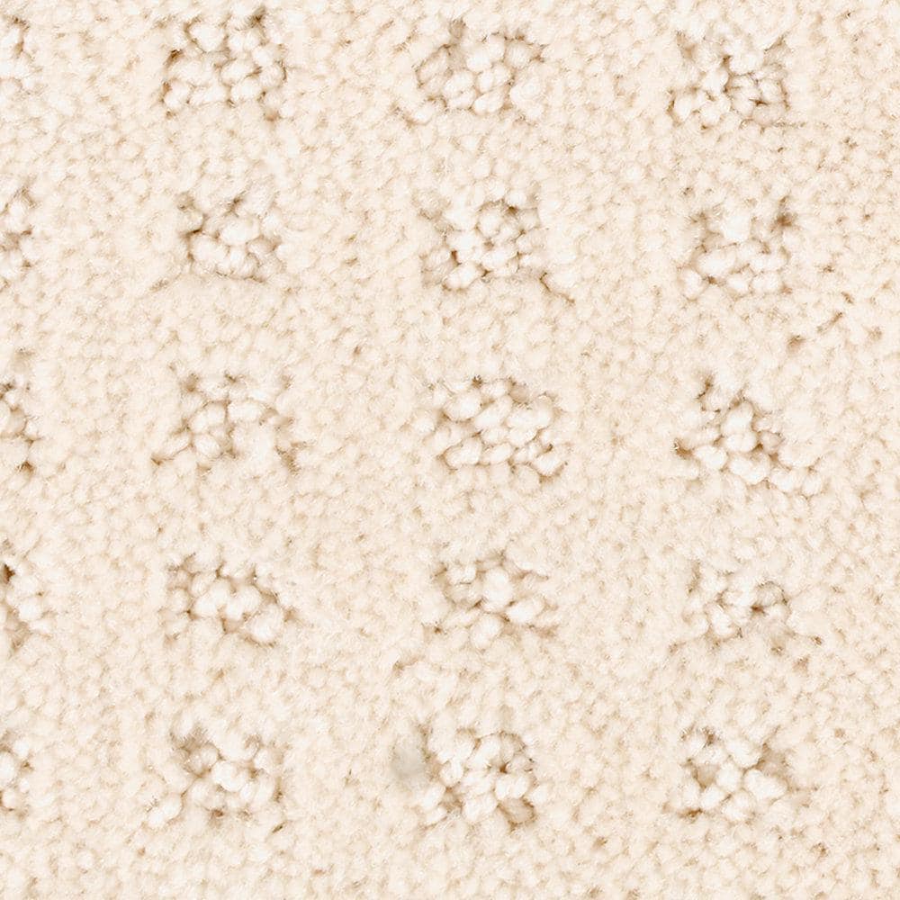 8 in. x 8 in. Texture Carpet Sample - Canter -Color Gypsy Moth price history on PriceWatchPro