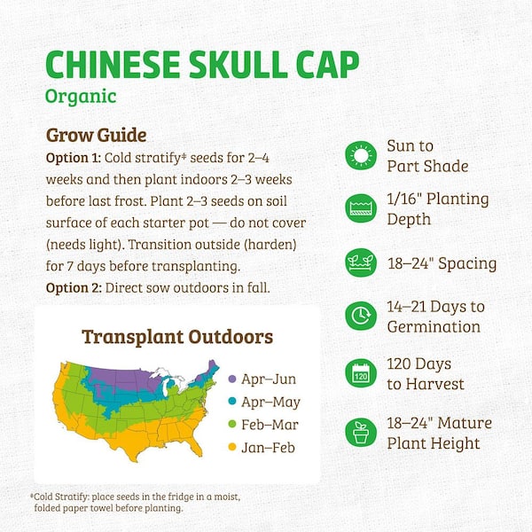 (1-Pack) Organic Regenerative Chinese Skullcap Seed
