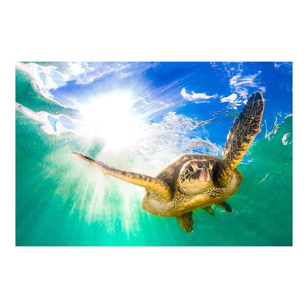 Classy Art 1-Piece Unframed Animal Graphic Art 40 in. x 60 in