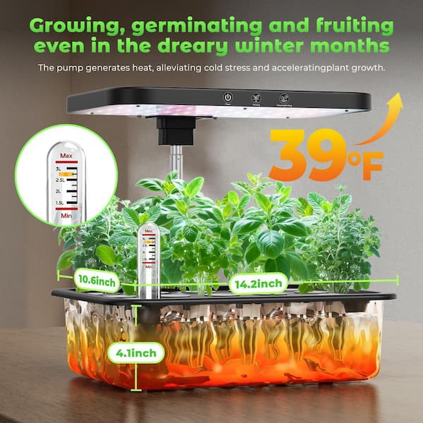 クララ Origin 21 CYPRUS 6-Light Matte Black Traditional Chandelier