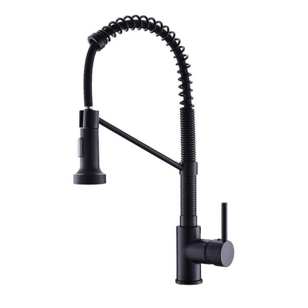 Satico Single-Handle Pull-Down Sprayer Kitchen Faucet with Dual Function Spray Head in Matte black