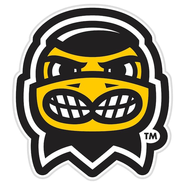 Evergreen 23 in. x 23 in. University of Lowa Yellow College Mascot Plug-In LED Lighted Plastic Sign