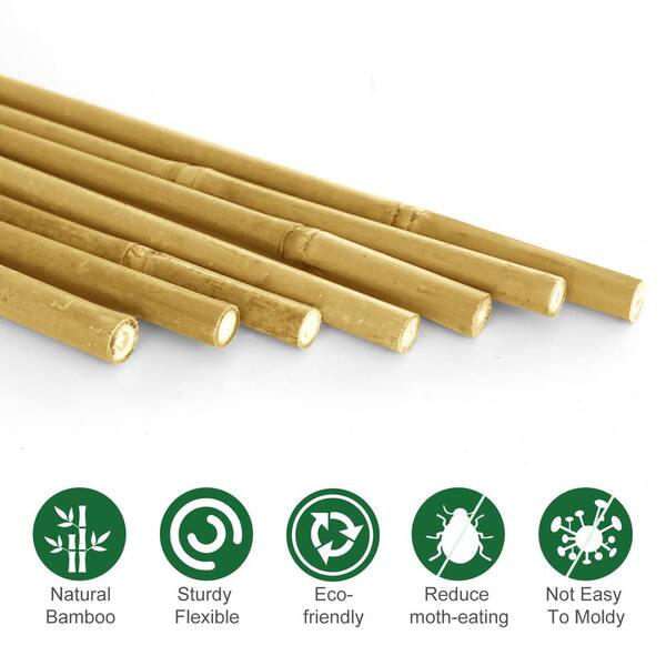 Gardener's Blue Ribbon 6-ft Bamboo Stake 6-Pack Natural | BB6N