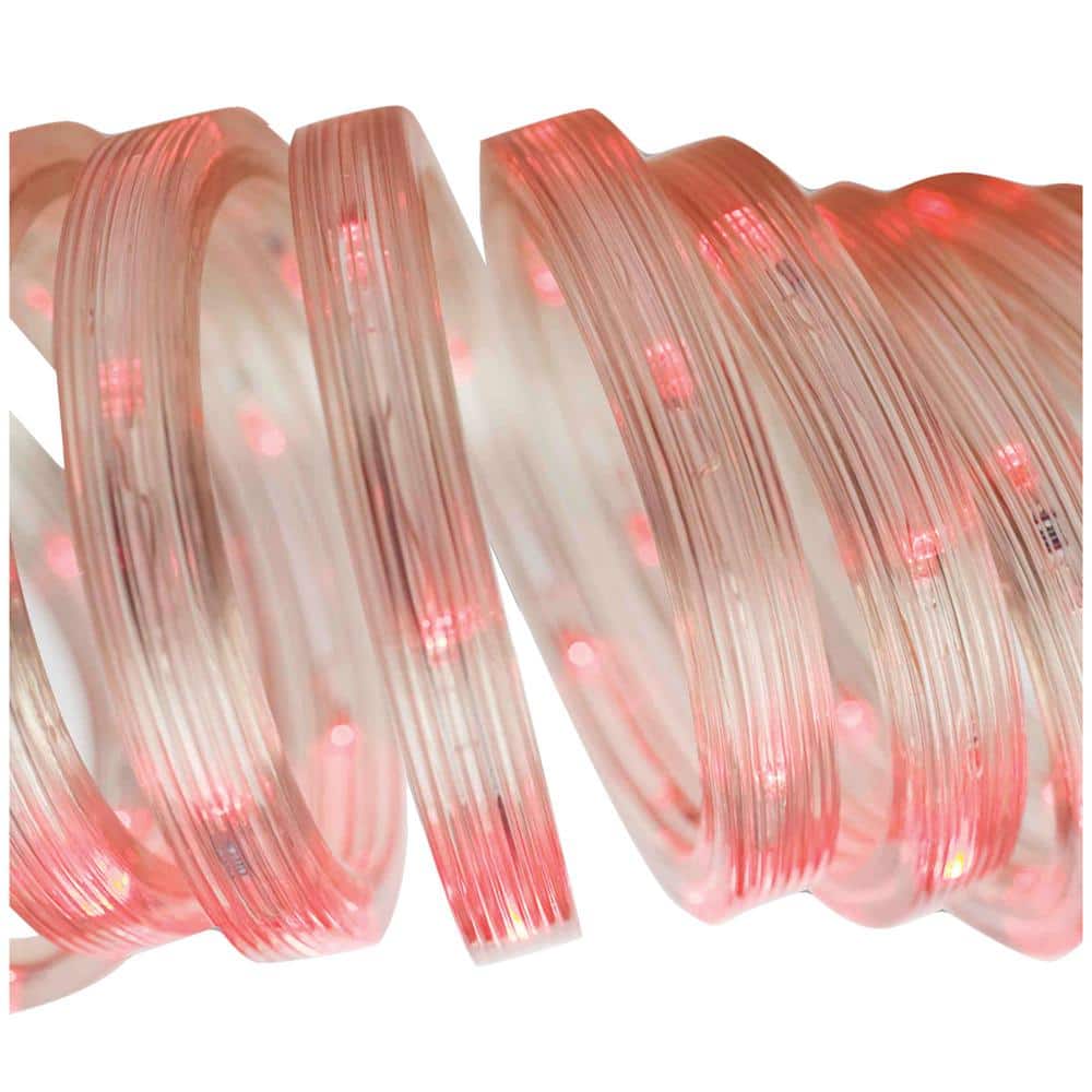 12 ft. 50-Light Red Christmas LED Flat Rope Specialty Lights price history on PriceWatchPro