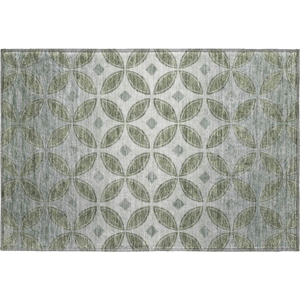 Mayfield Premium Machine Washable Abstract AMF2423 Basil 2 ft. x 3 ft. Accent Rug price history on PriceWatchPro