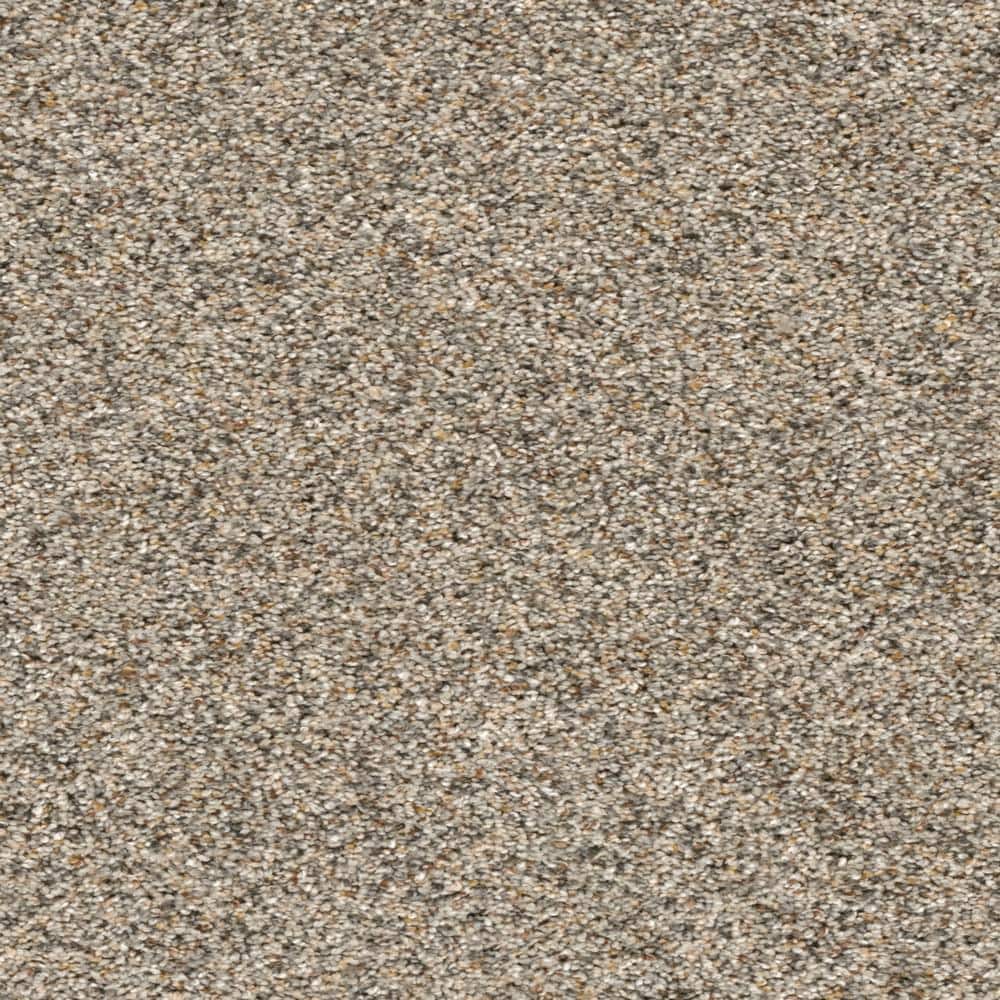 8 in. x  8 in. Texture Carpet Sample - Whispers -Color Unwind price history on PriceWatchPro