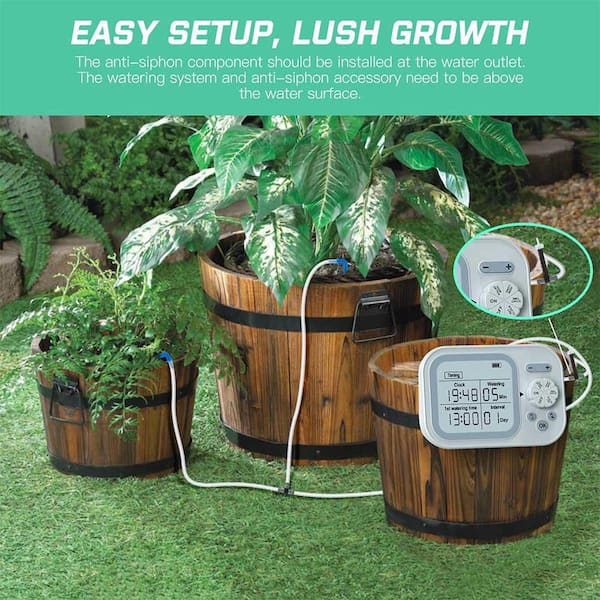plant pot dish Chive 3
