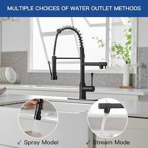 Single-Handle Pull-Down Sprayer 2-Spray High Arc Kitchen Faucet with Deck Plate in Matte Black