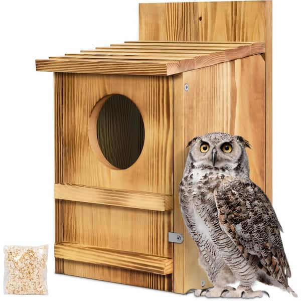 Justincity Owl Bird Box Large Handmade Wooden Circular