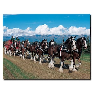 24 in. x 32 in. Clydesdales in Blue Sky Mountains Canvas Art