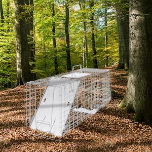 Live Animal Cage Trap 31in. x10in. x12in., Humane Galvanized Iron Trap for Cats, Rabbits, Squirrels, Raccoons