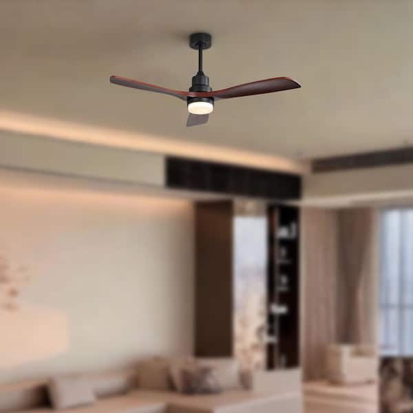 MODERN HABITAT Blade Span 52 in. Smart Indoor/Outdoor Black Modern Decorative Ceiling Fan with LED Light and Remote Control