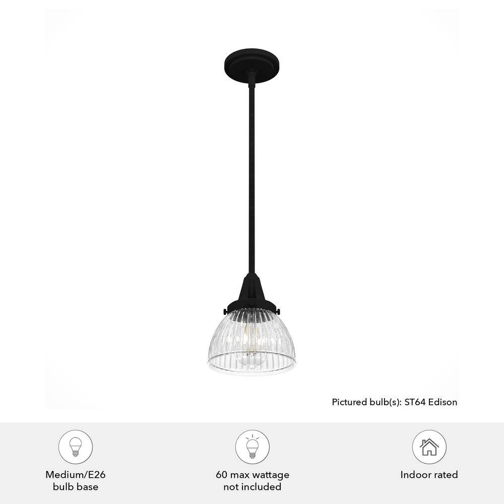 Hunter Cypress Grove Natural Black Iron Mini Pendant Light with Clear Glass Dome Shade