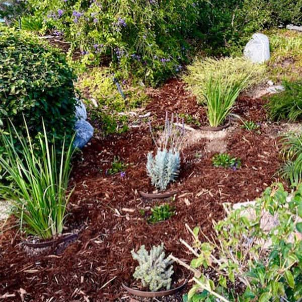 Botanic Garden Round Storage Container Large