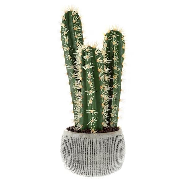 Earth Worth Faux Potted Cactus Plant 22 in. Artificial Hedge Cacti Succulent in a Clay Fiber Pot