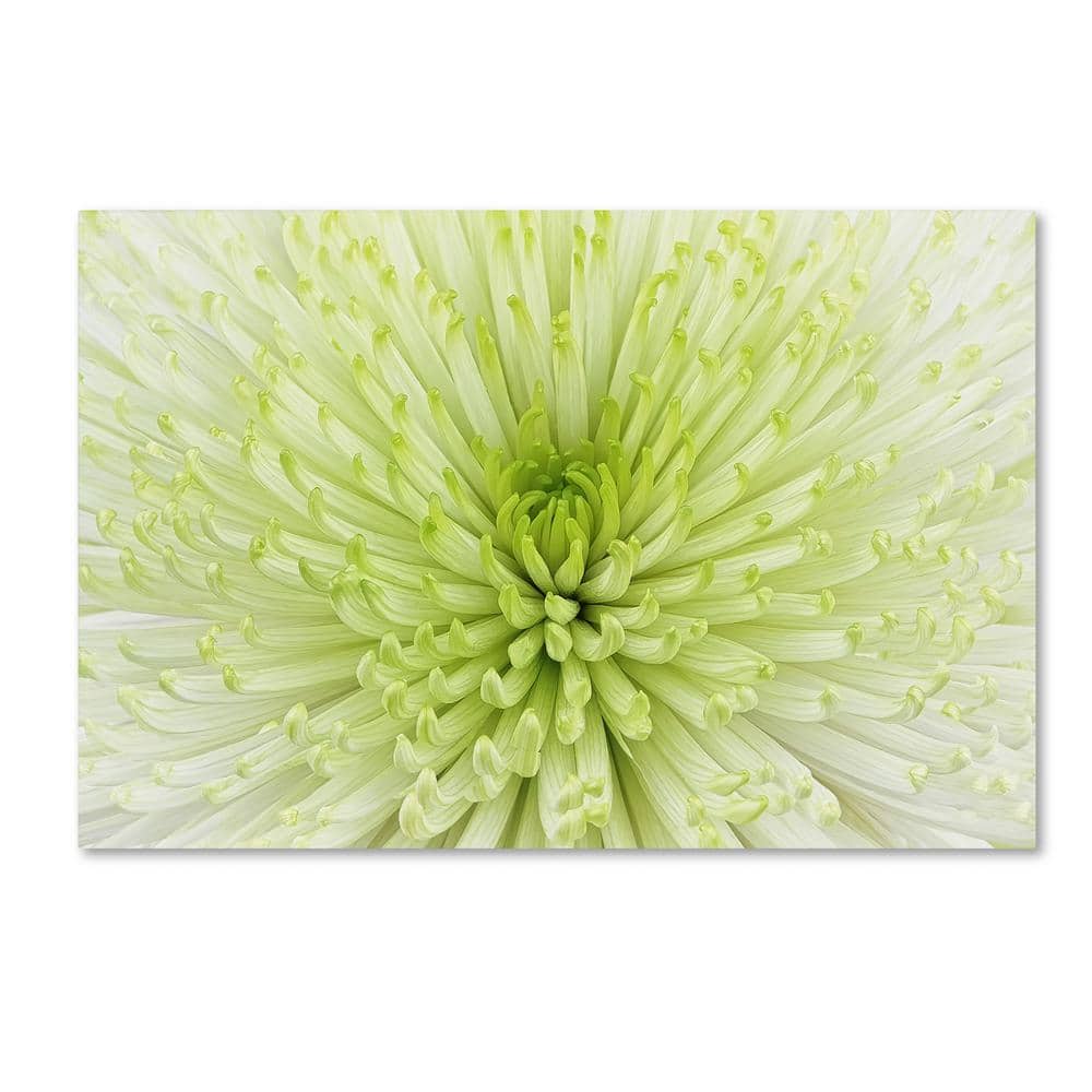 Large White and Green Floral Canvas Art