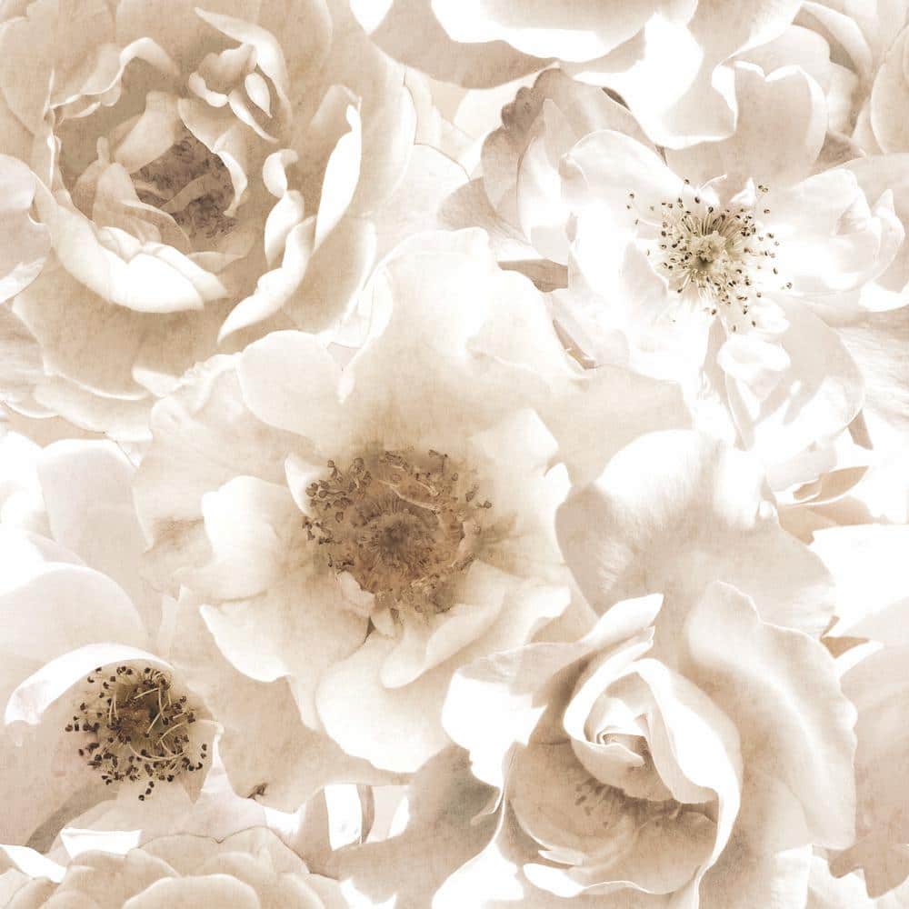 Creamy Floral Peel and Stick White Wallpaper Mural