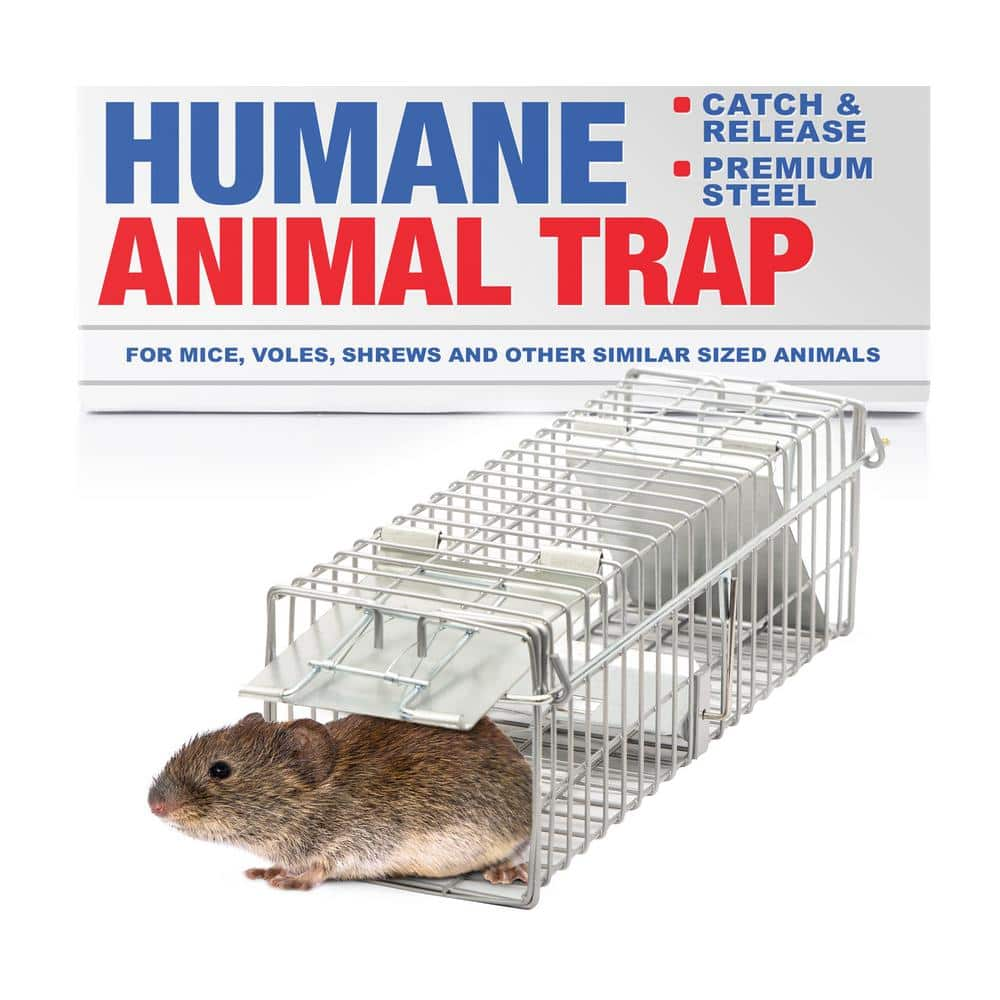 LifeSupplyUSA Outdoor Rodent Control Animal Trap for Mice, Voles ...