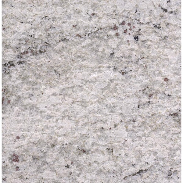 STONEMARK 3 in. x 3 in. Granite Countertop Sample in Cotton White