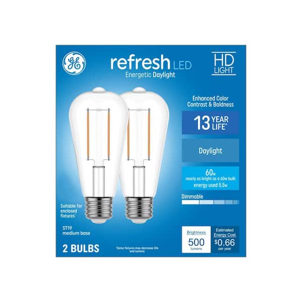 60.0-Watt Equivalent ST19 LED Daylight Dimmable Bulb 2-Pack