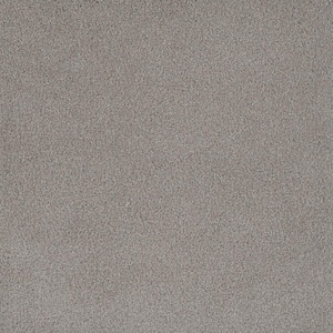 First Class II - Ashland - Beige 50 oz. SD Polyester Texture Installed Carpet