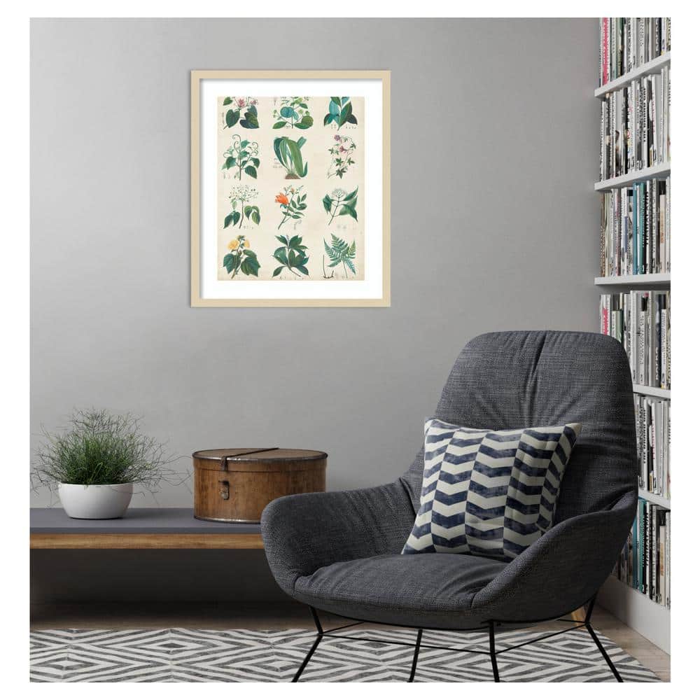 Botanical Schema II Natural Wood Framed Wall Art Print