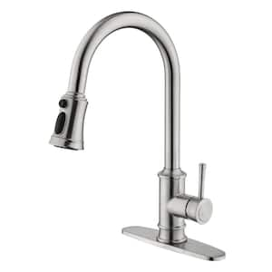 Kitchen Faucet with Pull Out Spraye