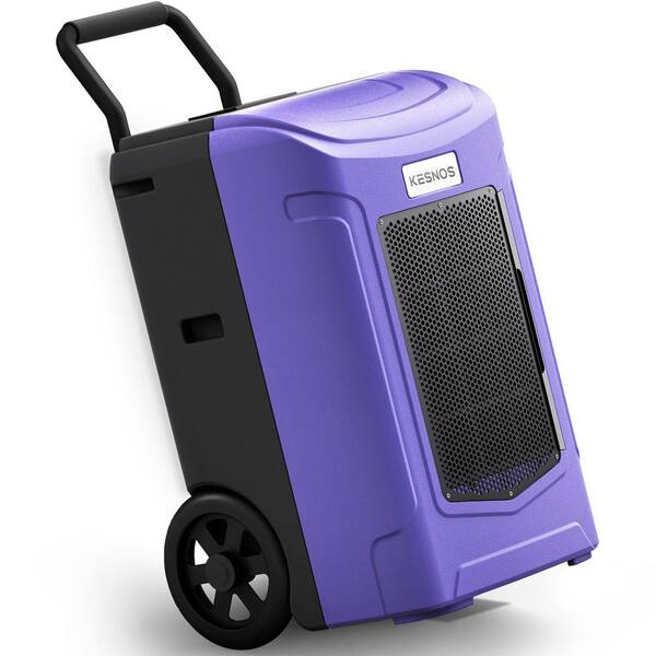 https://images.thdstatic.com/productImages/34708e94-49b6-4e4c-bd4c-8a51a76754a9/svn/purples-lavenders-kesnos-dehumidifiers-hdcx-pdgt701bc-c3_600.jpg